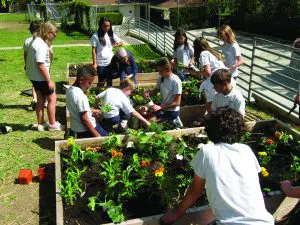 Gardening with children the planting