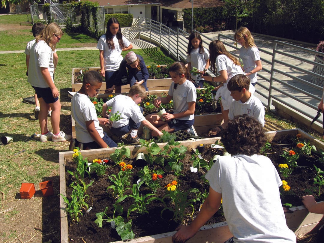 Gardening with children the planting